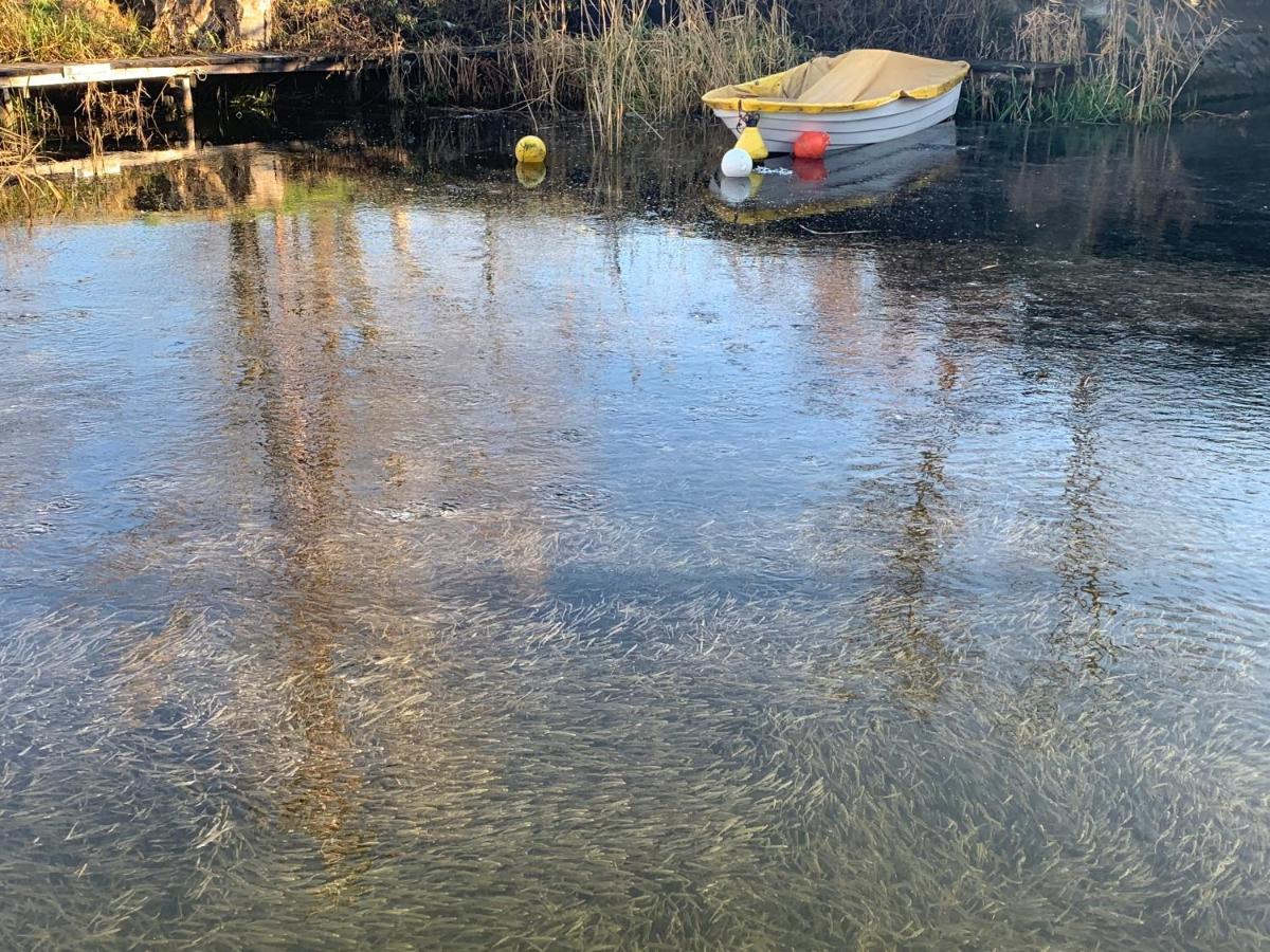 Topart Apartman I Balatonfenyves Buitenkant foto