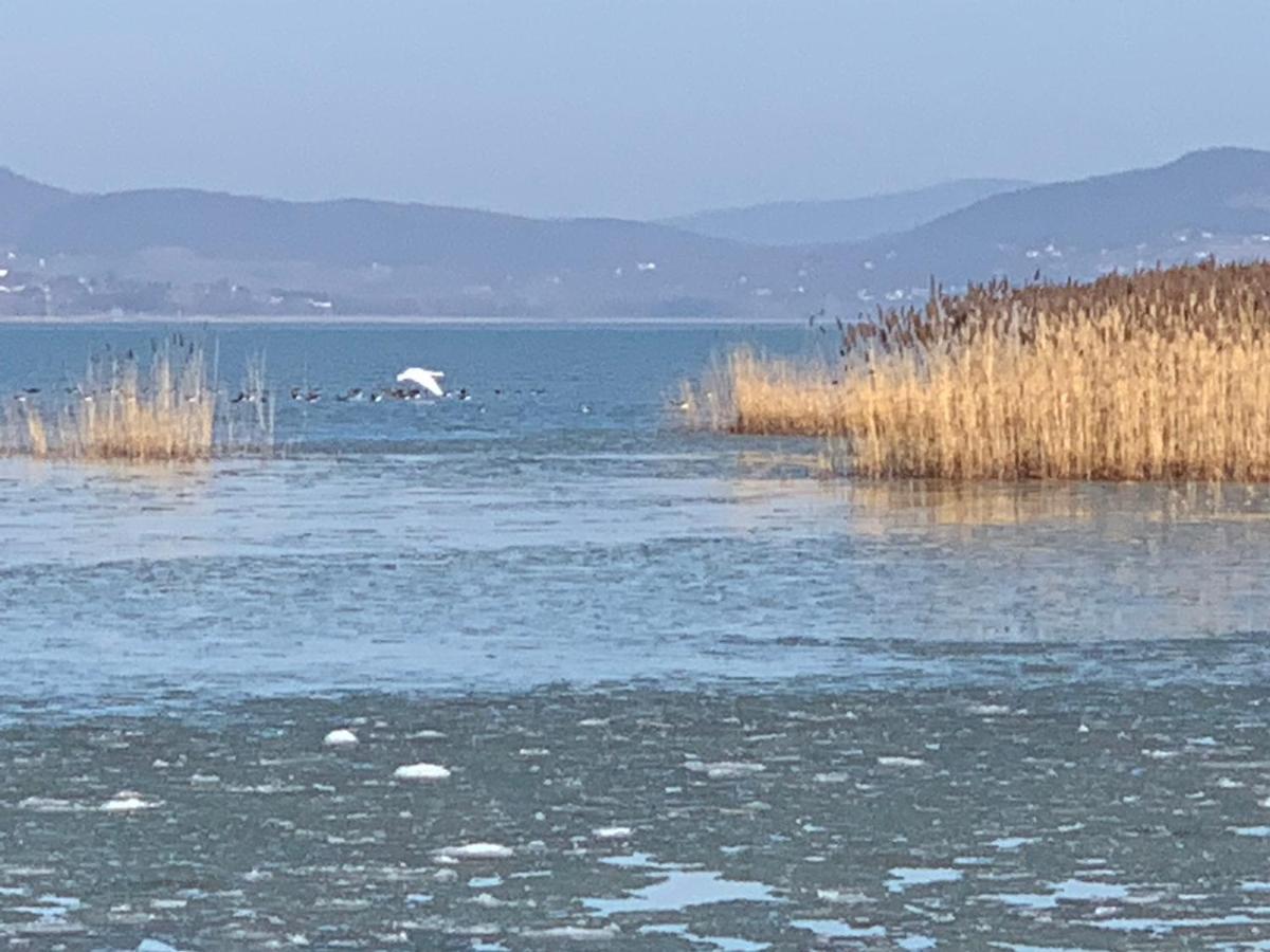 Topart Apartman I Balatonfenyves Buitenkant foto