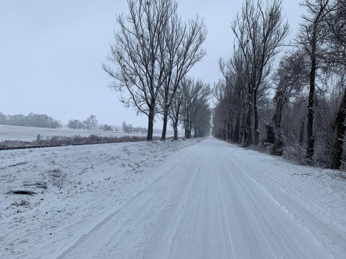 Topart Apartman I Balatonfenyves Buitenkant foto