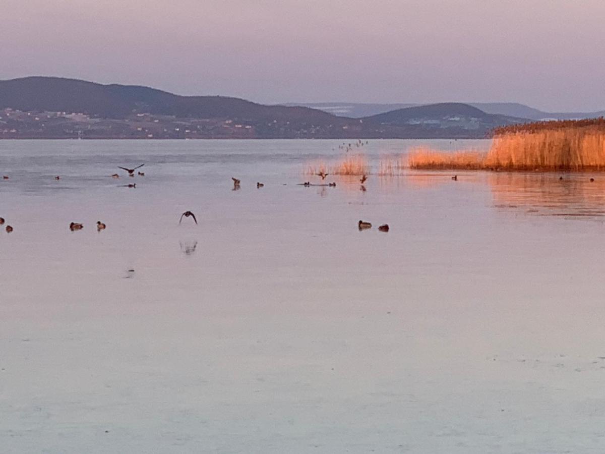 Topart Apartman I Balatonfenyves Buitenkant foto